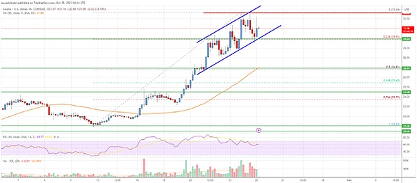 迷因币狂欢季来了？PEPE暴涨30%背后的投资玄机